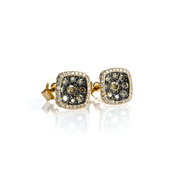 0.70 ctw Yellow 14K Gold Chocolate and White Diamond Earrings