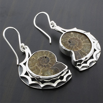 fossil ammonite earrings genuine sterling silver